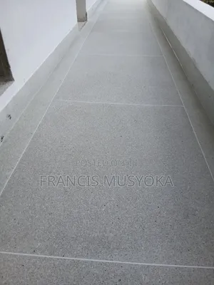 Terrazzo Floors Sanding