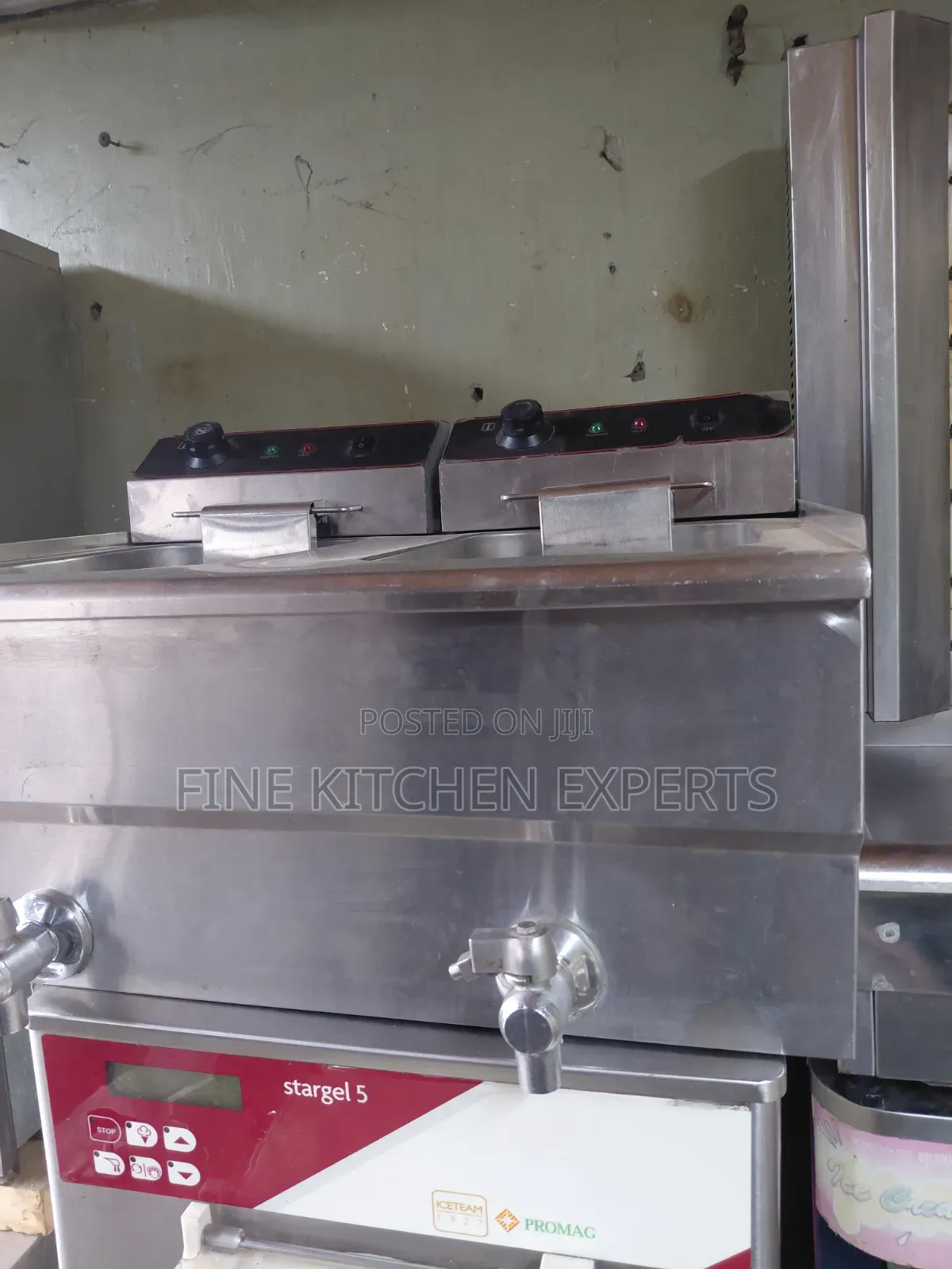 Double Electric Fryer