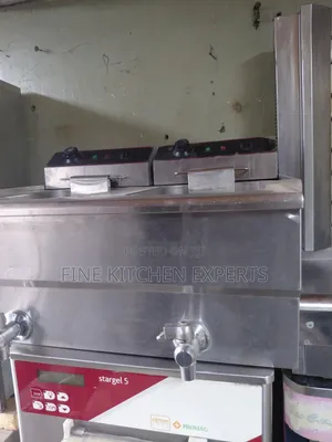 Double Electric Fryer