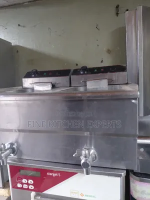 Double Electric Fryer