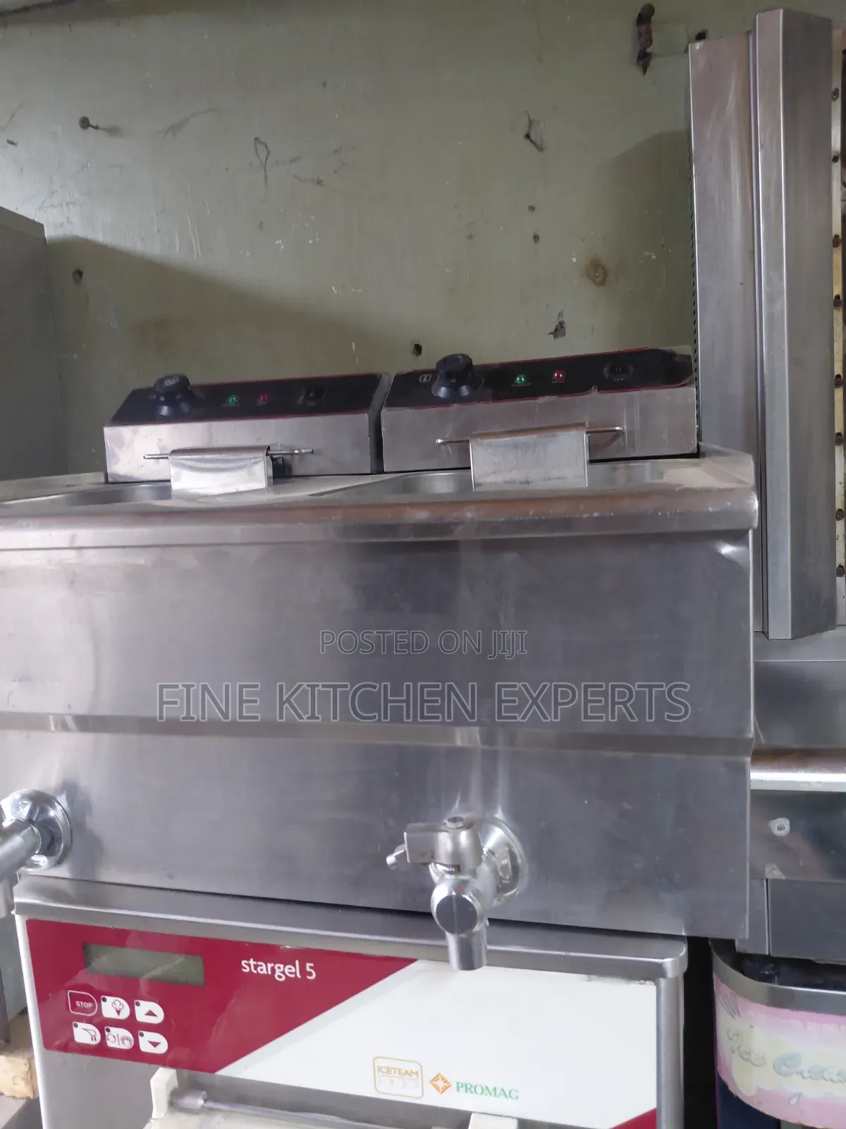 Double Electric Fryer