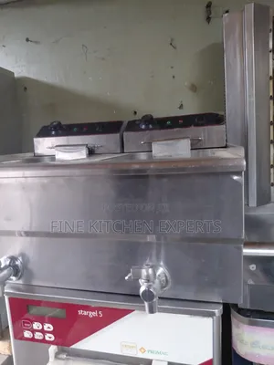 Double Electric Fryer