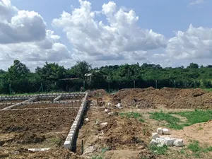 50by100 Plots in Mariakani Kibao Kiche