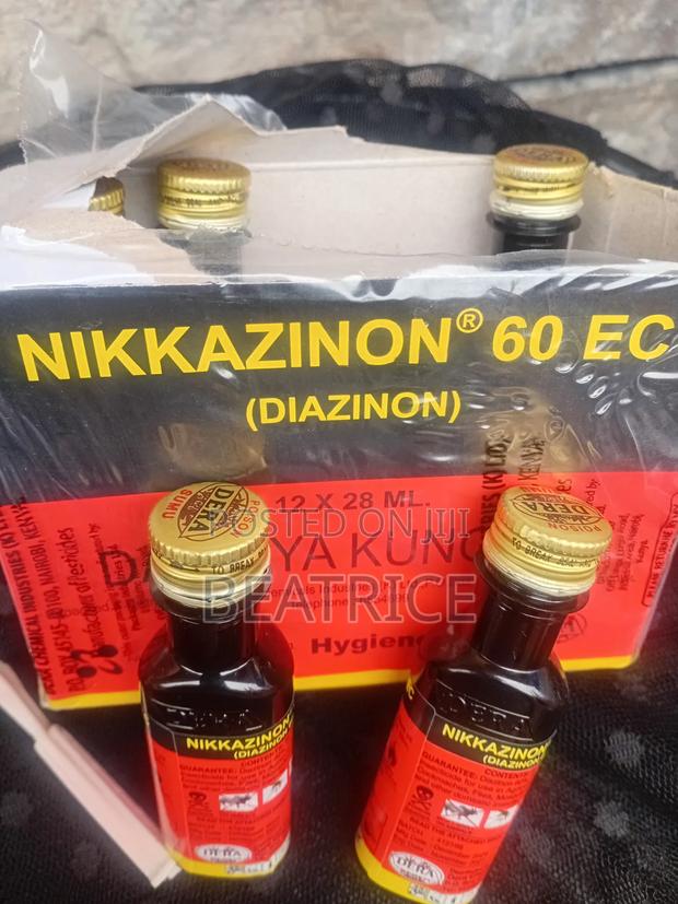 Kunguni Dawa