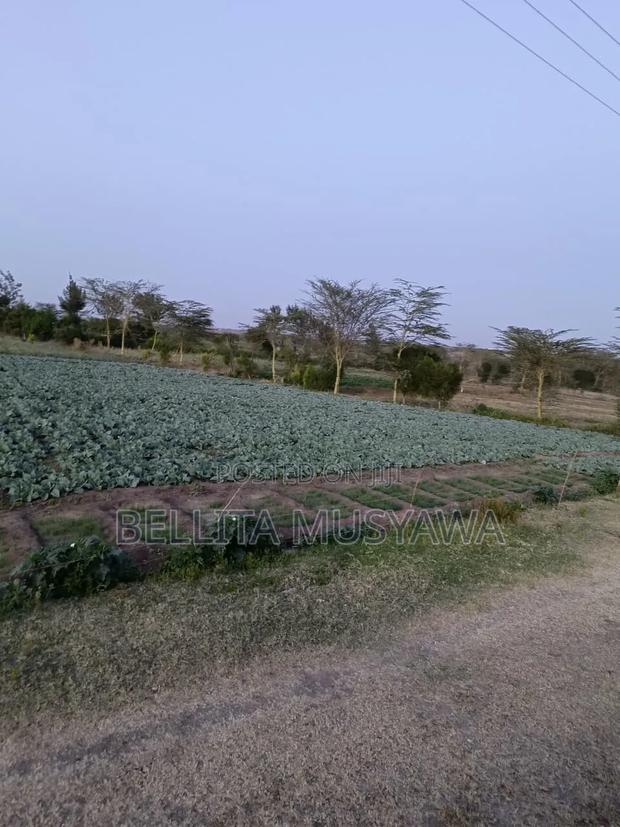 Nanyuki Plots