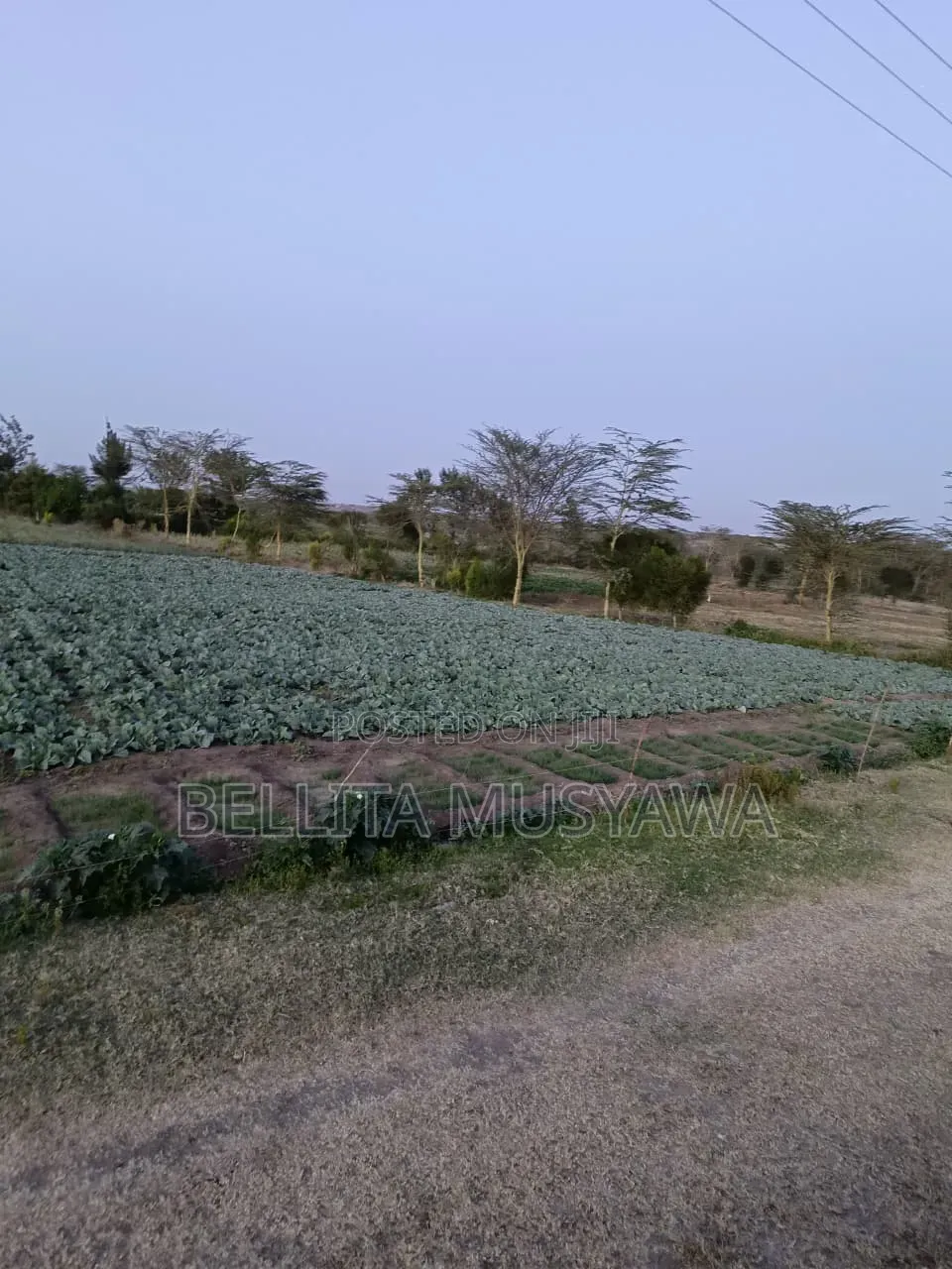 Nanyuki Plots