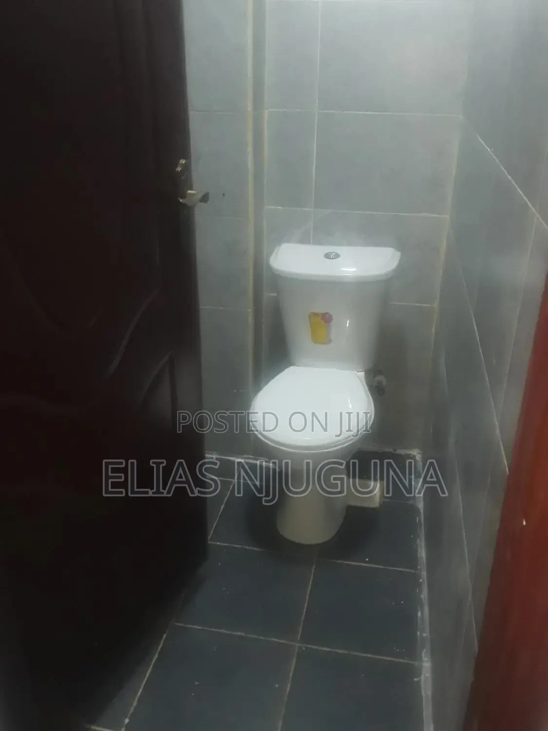 2bdrm Block of Flats in Thome/Safaripark, Roysambu for rent