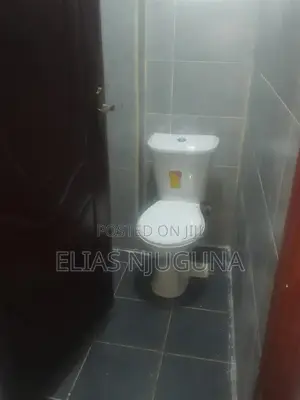 2bdrm Block of Flats in Thome/Safaripark, Roysambu for rent