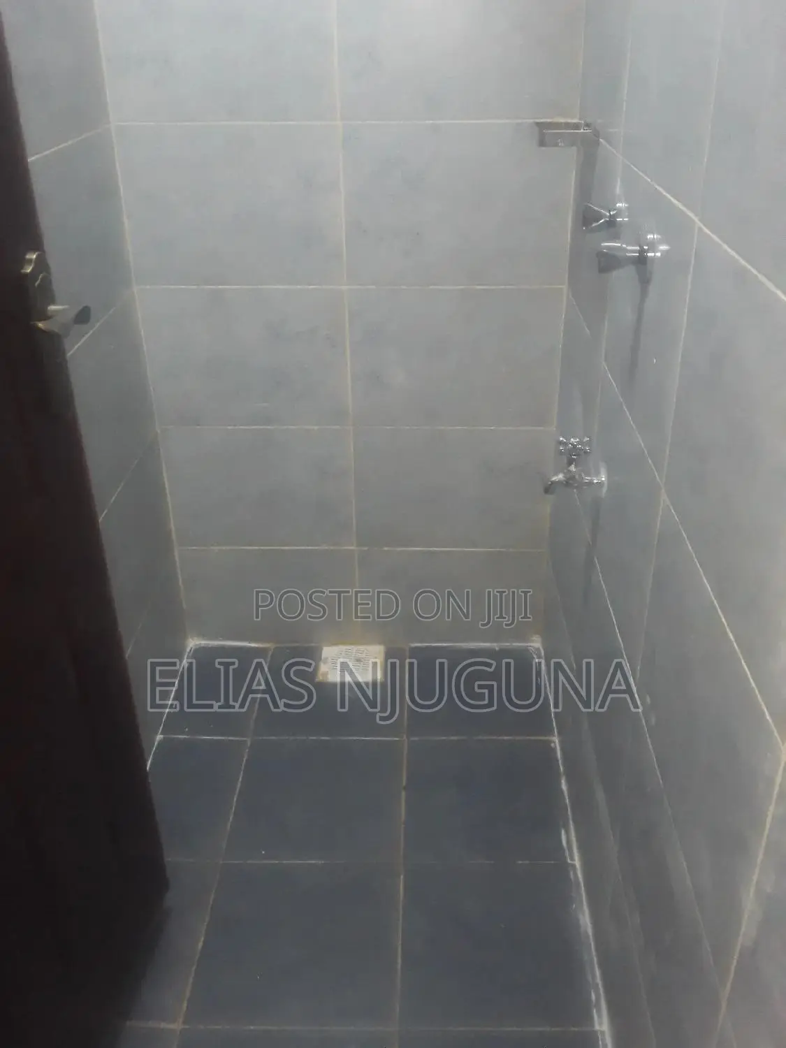 2bdrm Block of Flats in Thome/Safaripark, Roysambu for rent
