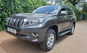 Toyota Land Cruiser 2010 Brown