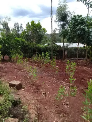 41⁄2acres Maragwa Summary