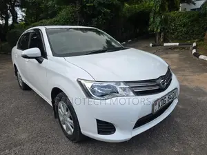 Toyota Axio 2014 White