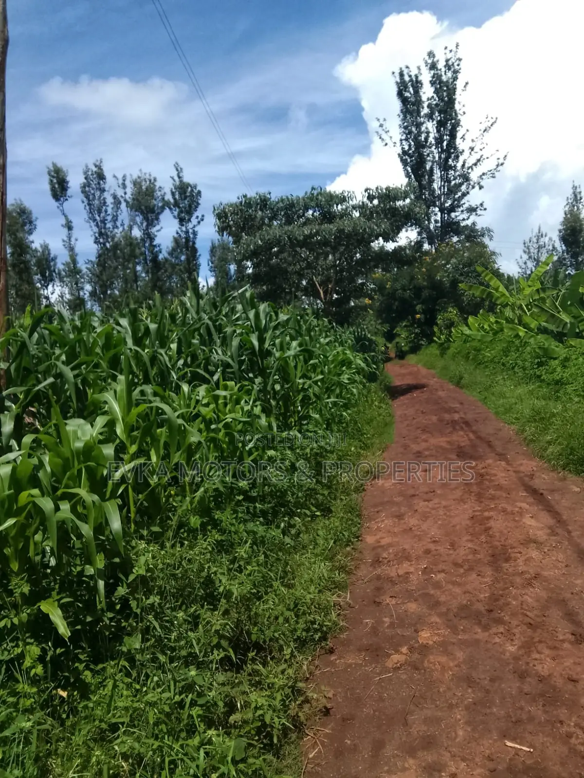 1acre Kamahuha 2km From Tarmac