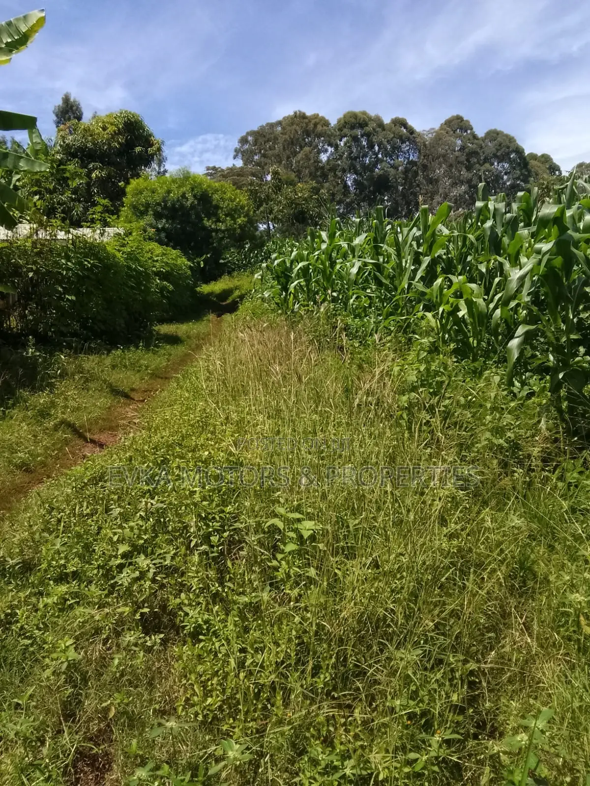 1acre Kamahuha 2km From Tarmac