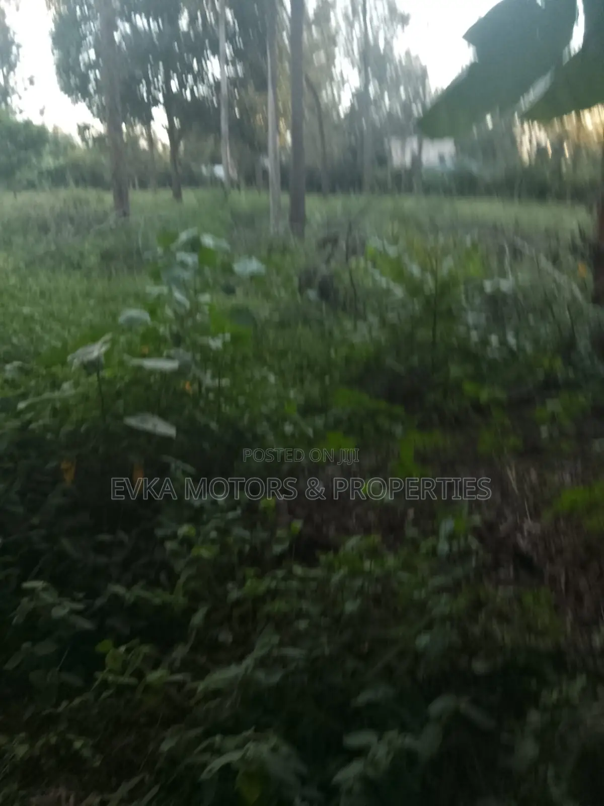 31⁄4 Acres Available Maragwa Summary