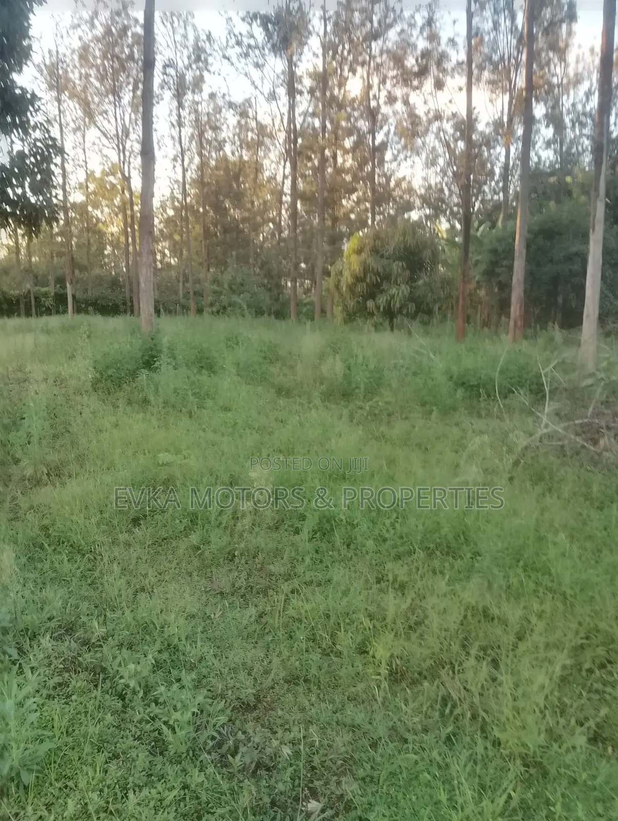31⁄4 Acres Available Maragwa Summary
