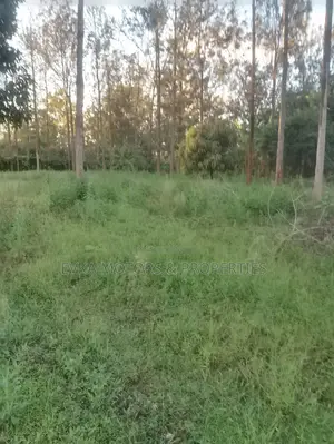 31⁄4 Acres Available Maragwa Summary