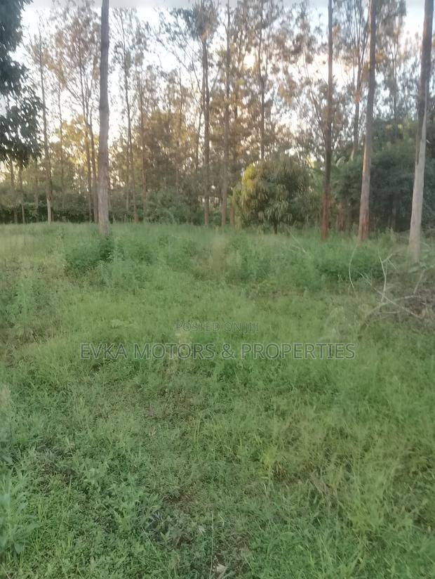 31⁄4 Acres Available Maragwa Summary - thumbnail 2