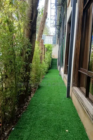 Elegant Green Grass Carpets