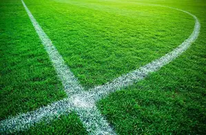 Fifa Quality Artificial Grass for Football Fields 50mm at 2800/SQM