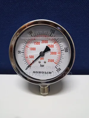 Pressure Gauge 4" 250bar