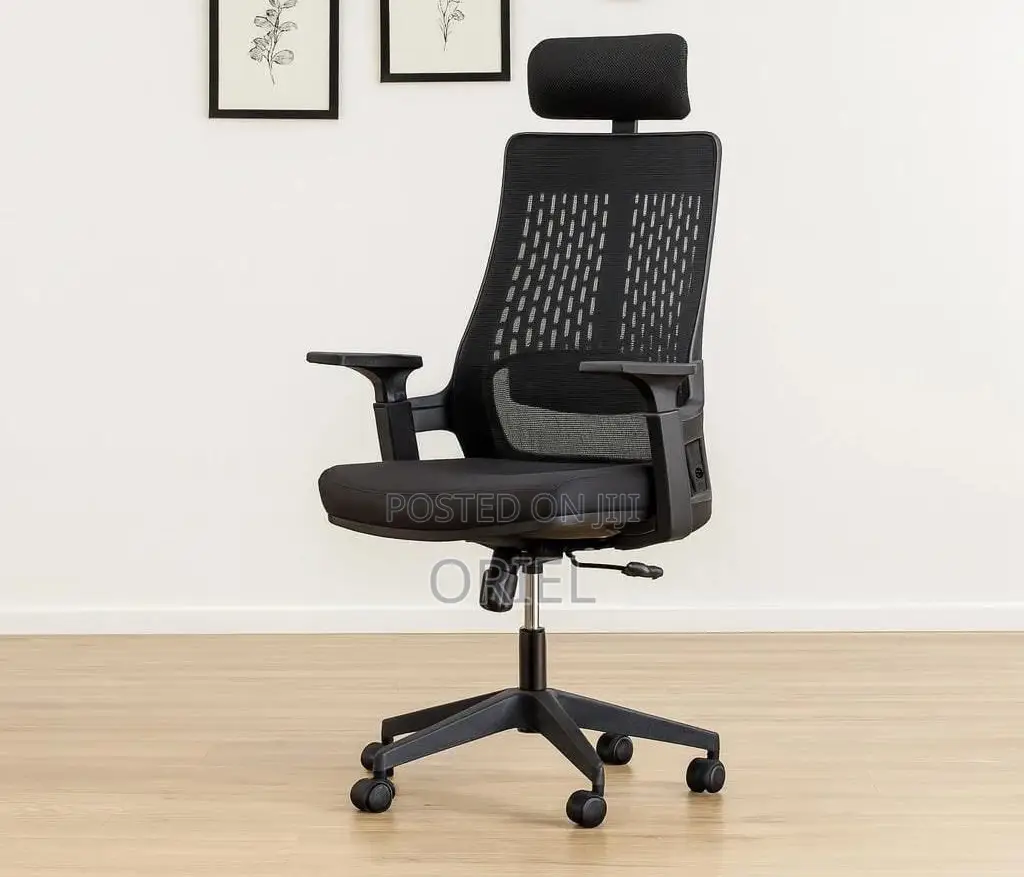 Modern Office Chair : Orthopedic Office Chair
