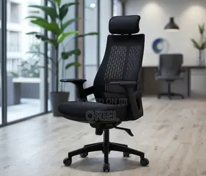 Modern Office Chair : Orthopedic Office Chair