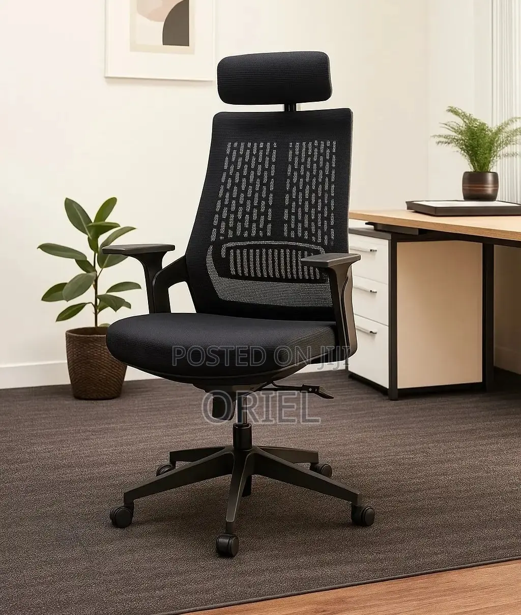 Modern Office Chair : Orthopedic Office Chair