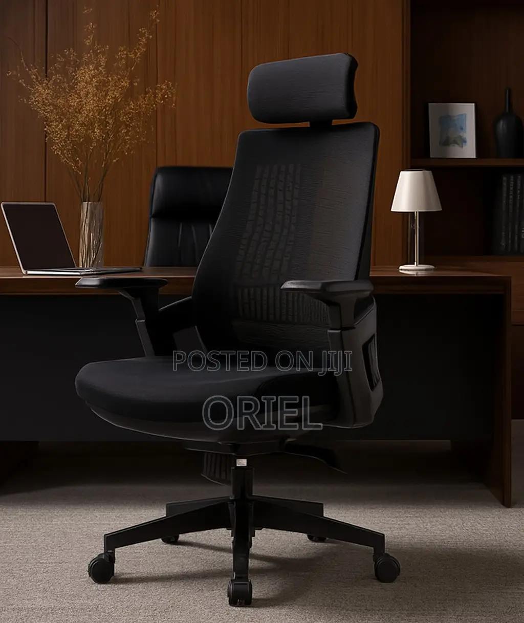 Modern Office Chair : Orthopedic Office Chair
