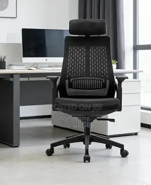 Modern Office Chair : Orthopedic Office Chair