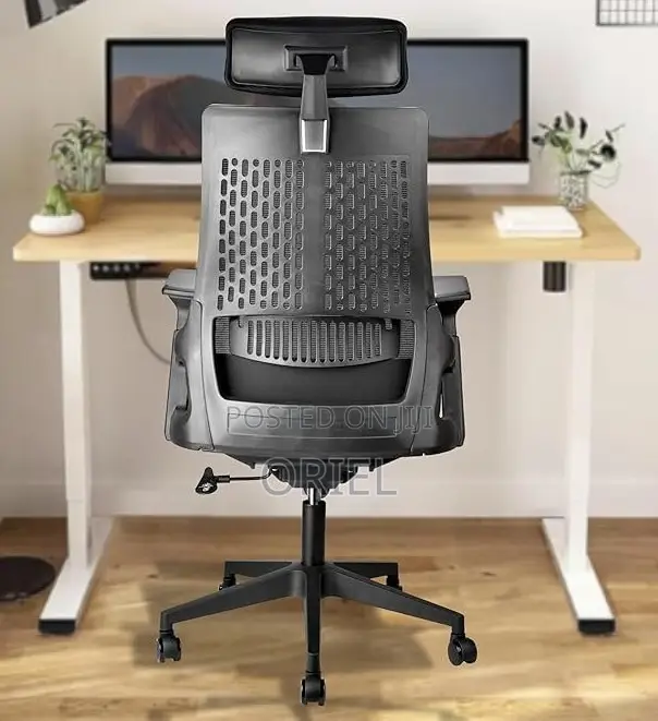 Modern Office Chair : Orthopedic Office Chair