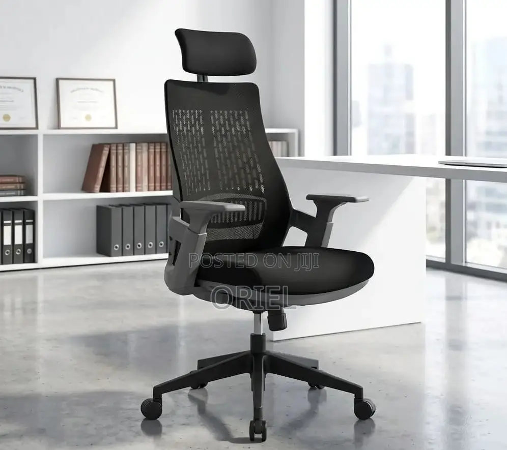 Modern Office Chair : Orthopedic Office Chair