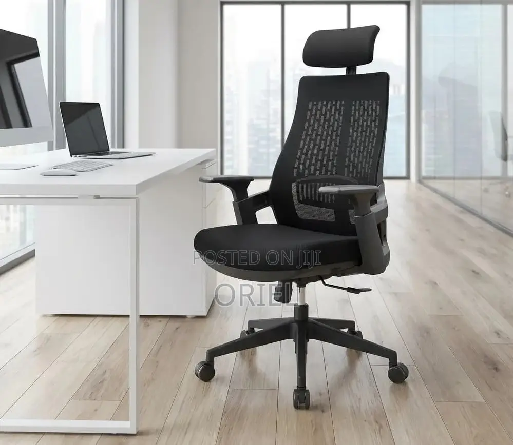 Modern Office Chair : Orthopedic Office Chair
