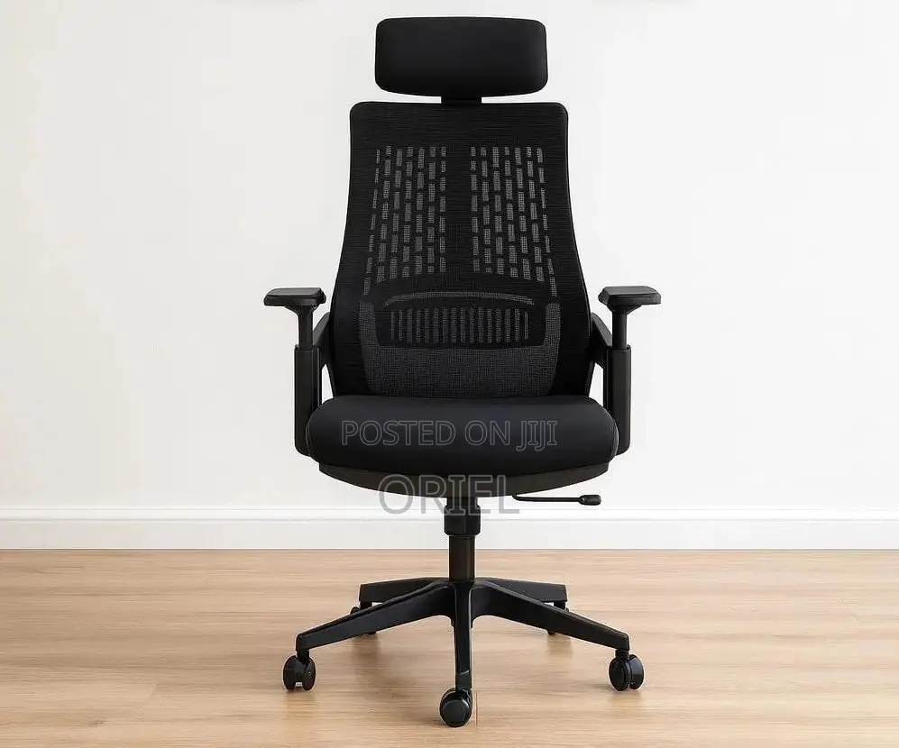Modern Office Chair : Orthopedic Office Chair