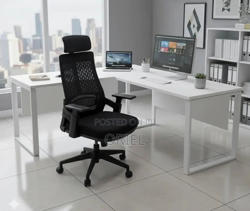 Modern Office Chair : Orthopedic Office Chair