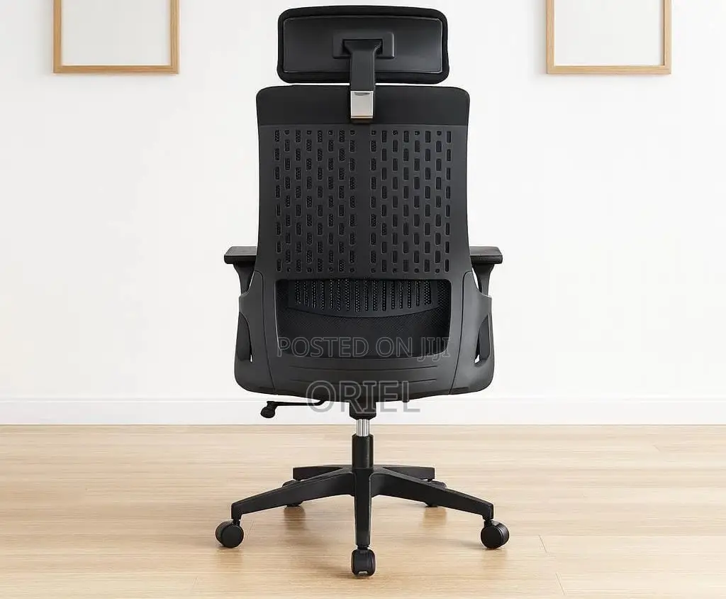 Modern Office Chair : Orthopedic Office Chair