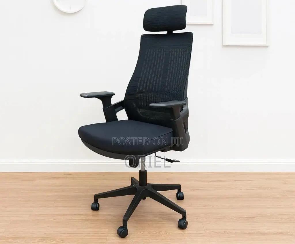 Modern Office Chair : Orthopedic Office Chair