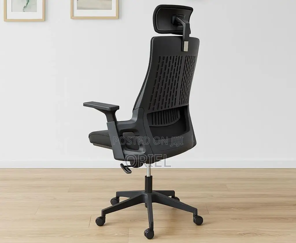 Modern Office Chair : Orthopedic Office Chair