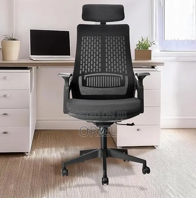 Modern Office Chair : Orthopedic Office Chair