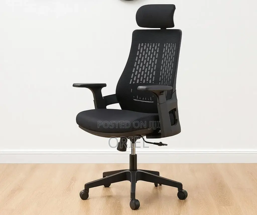 Modern Office Chair : Orthopedic Office Chair