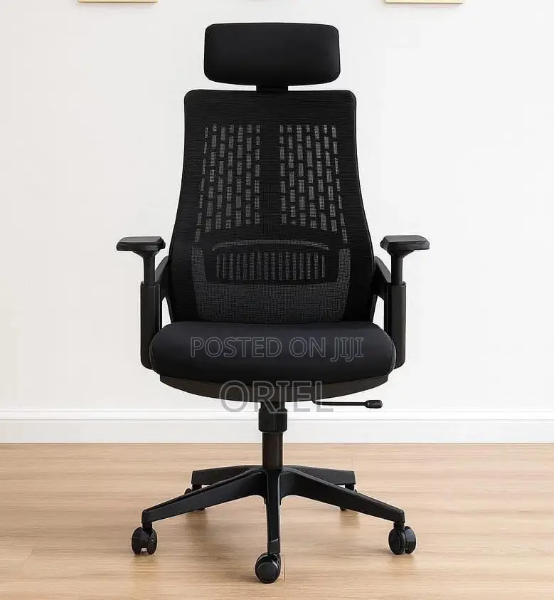 Modern Office Chair : Orthopedic Office Chair
