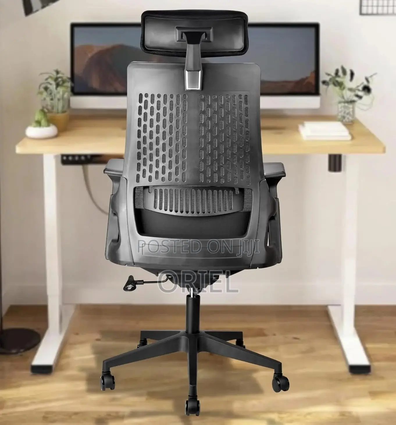 Modern Office Chair : Orthopedic Office Chair