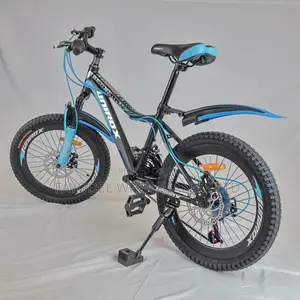 Unirox 20 Inch Kids Bike – Comfortable Durable