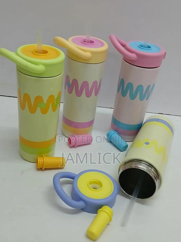 650ml Portable Stainless Steel Thermo Flask – Bz