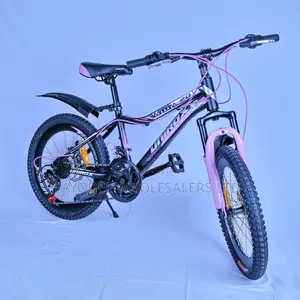 Unirox Size 20 Bike – Perfect for Growing Kids