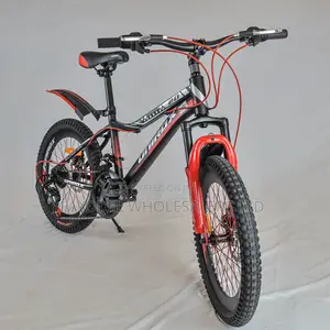 Unirox Size 20 Bicycle – Strong, Safe Fun