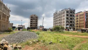 Thika Behide Tips Institute