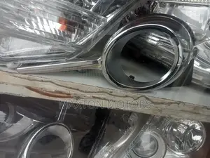 Fog Light Chrome Vanguard 2012