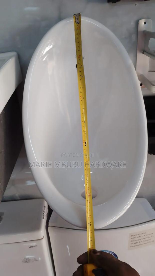 Urinal Flash Valve