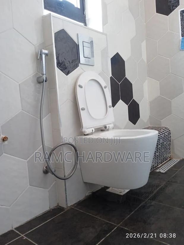 Hanging Toilet - main view